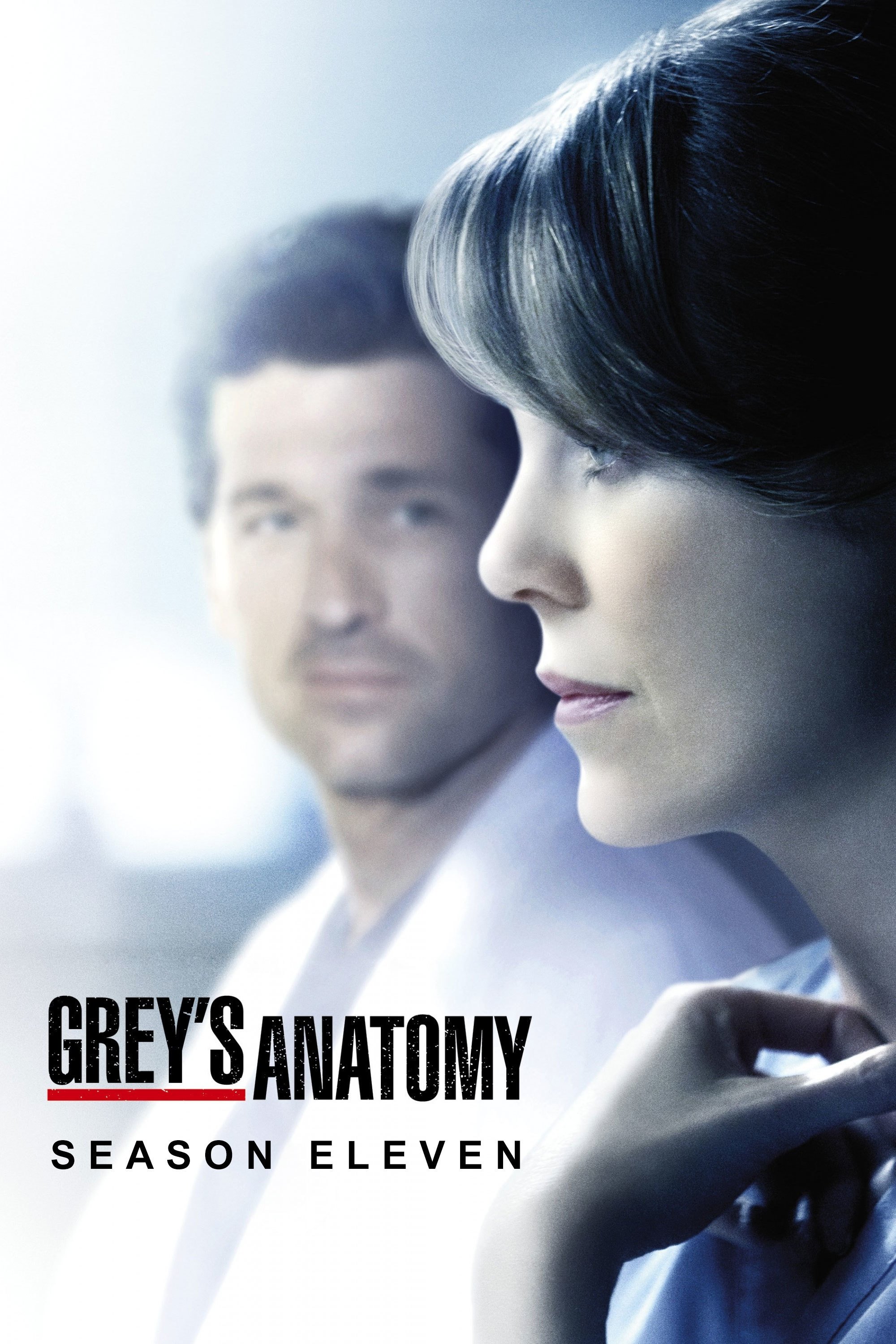 Grey's Anatomy - Season 11 [13846] (A1763985140) [[Shows]] --Plex--